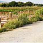 Mosto y huertos ecológicos