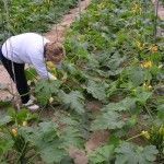 mujer_en_invernadero
