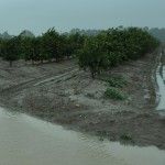 Temporal lluvia (8)
