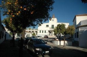 estella 1