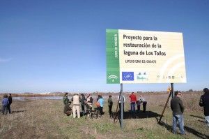 lagunas los tollos 2 (2)